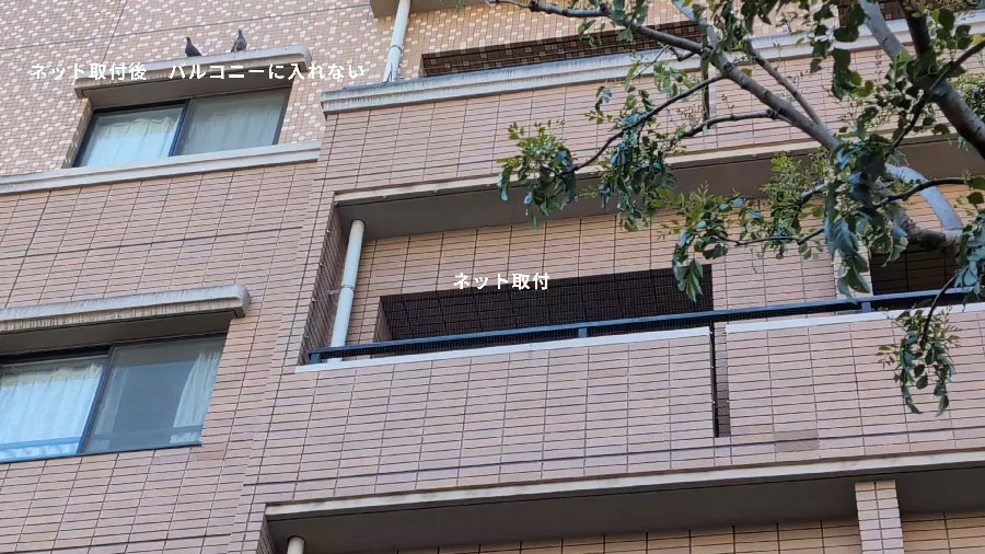 巣材撤去後、防鳩ネット施工