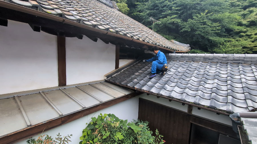 アライグマの侵入経路の調査